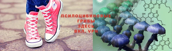 прущая мука Инсар