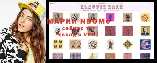 прущая мука Инсар