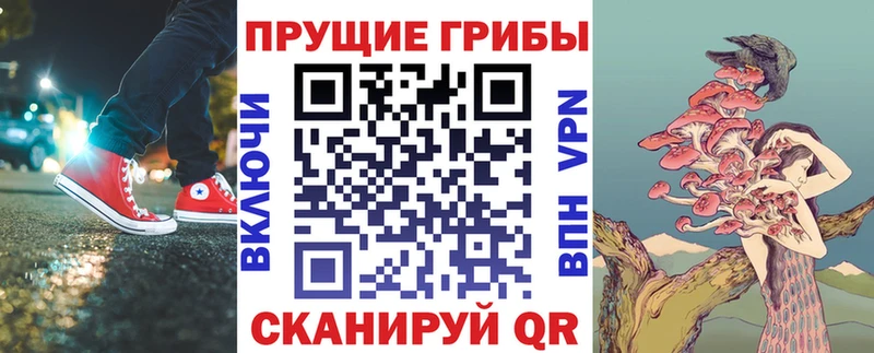 Купить закладки Александровск Галлюциногенные грибы прущие грибы